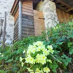 Eco-refuge De Montailloux