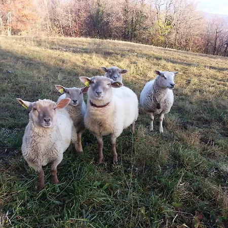Eco-refuge De Montailloux