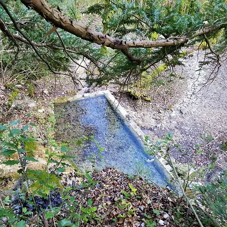 山林小屋 Eco-refuge De Montailloux